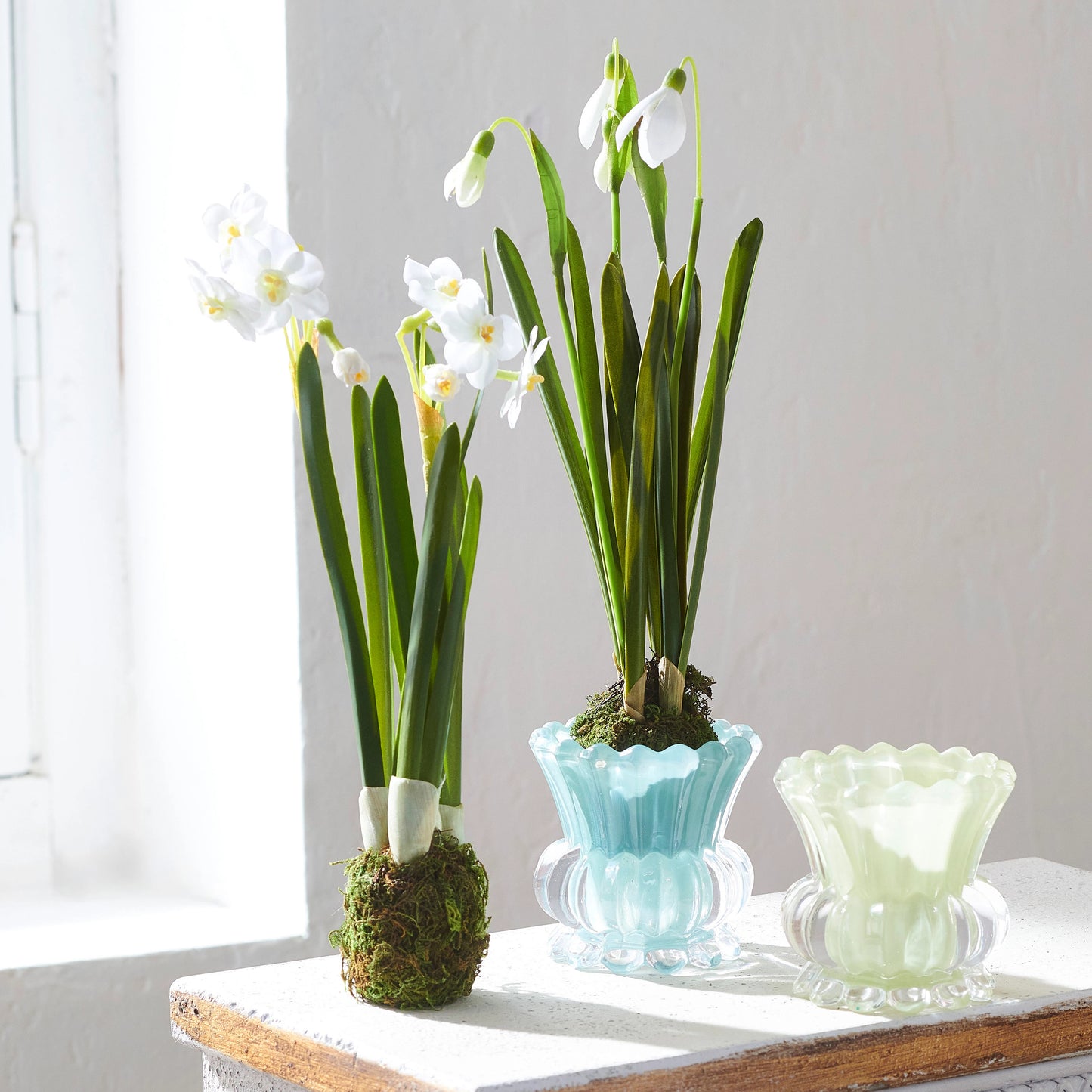 12" Snowdrop Plant Drop In