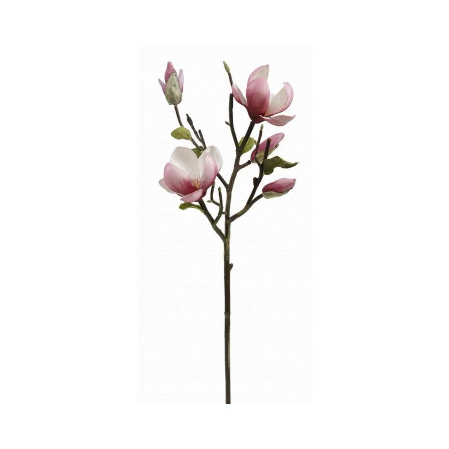 20" Tree Magnolia Pick-2 Colors