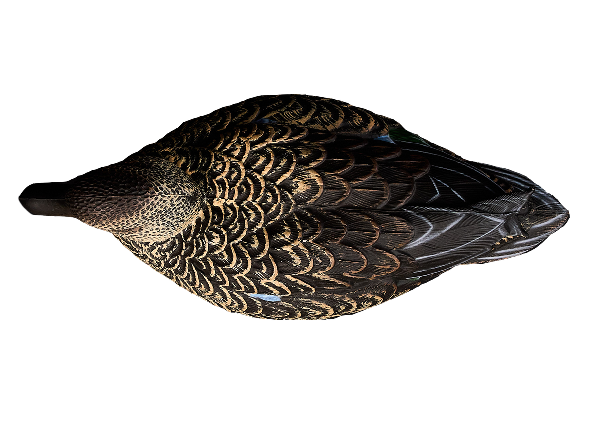 Heyday HydroFoam Early Season Teal 6-Pack Decoys