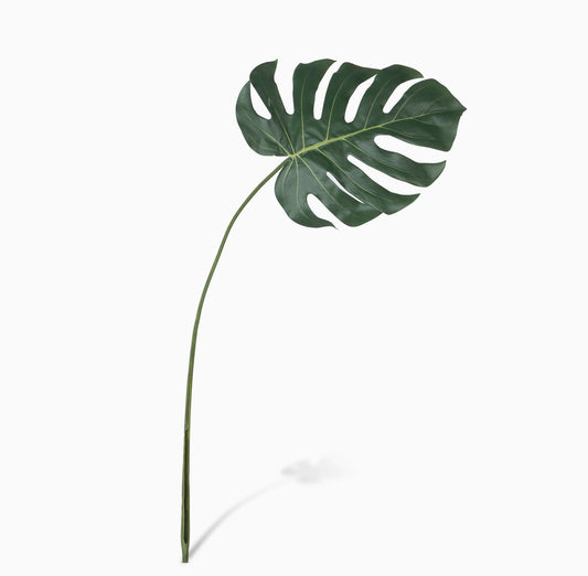 Large Monstera Leaf