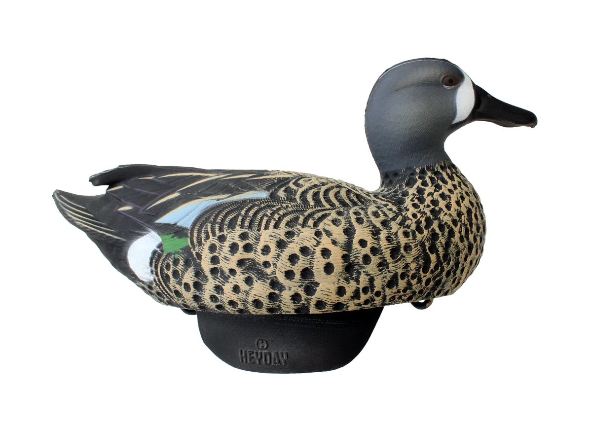 HEYDAY HydroFoam Blue-Winged Teal 6 Pack