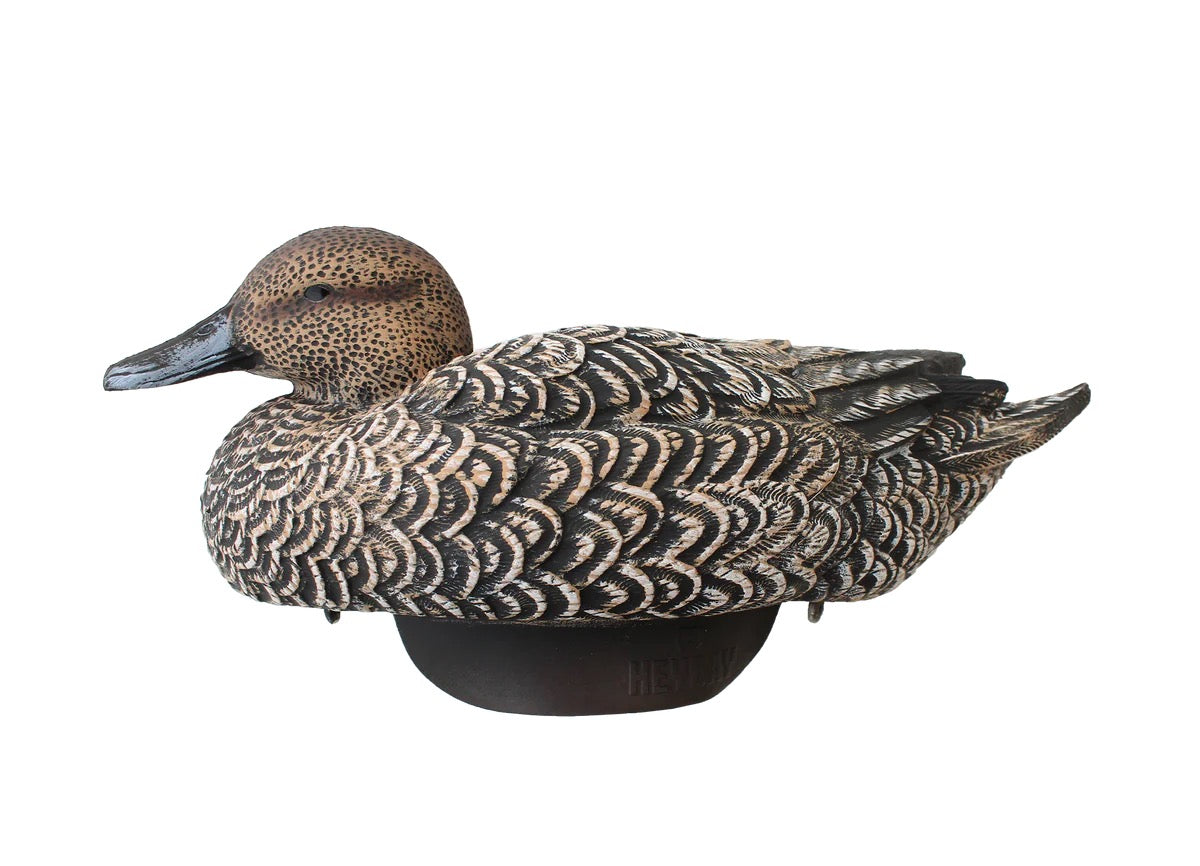 HEYDAY HydroFoam Pintails 6 Pack