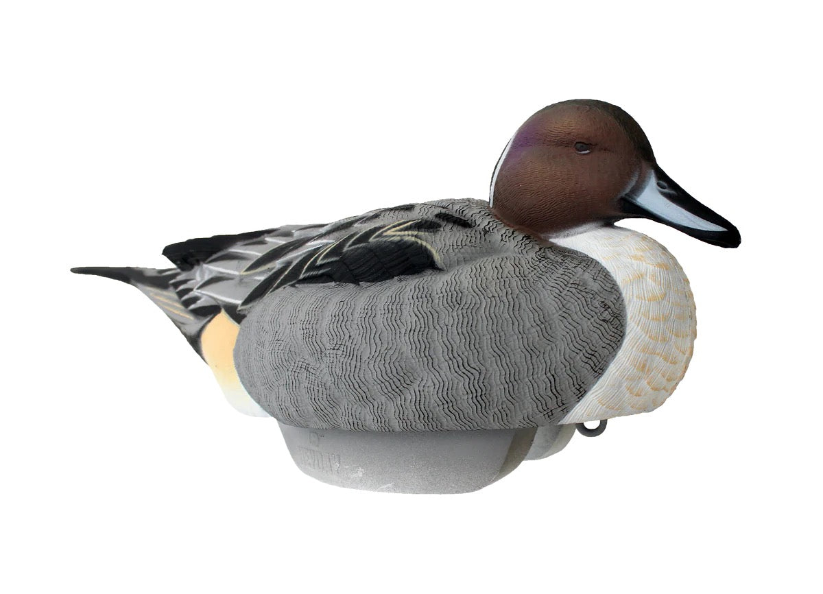HEYDAY HydroFoam Pintails 6 Pack