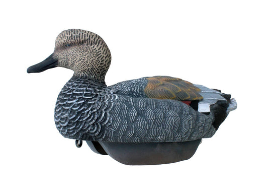 HEYDAY HydroFoam Gadwall 6 Pack