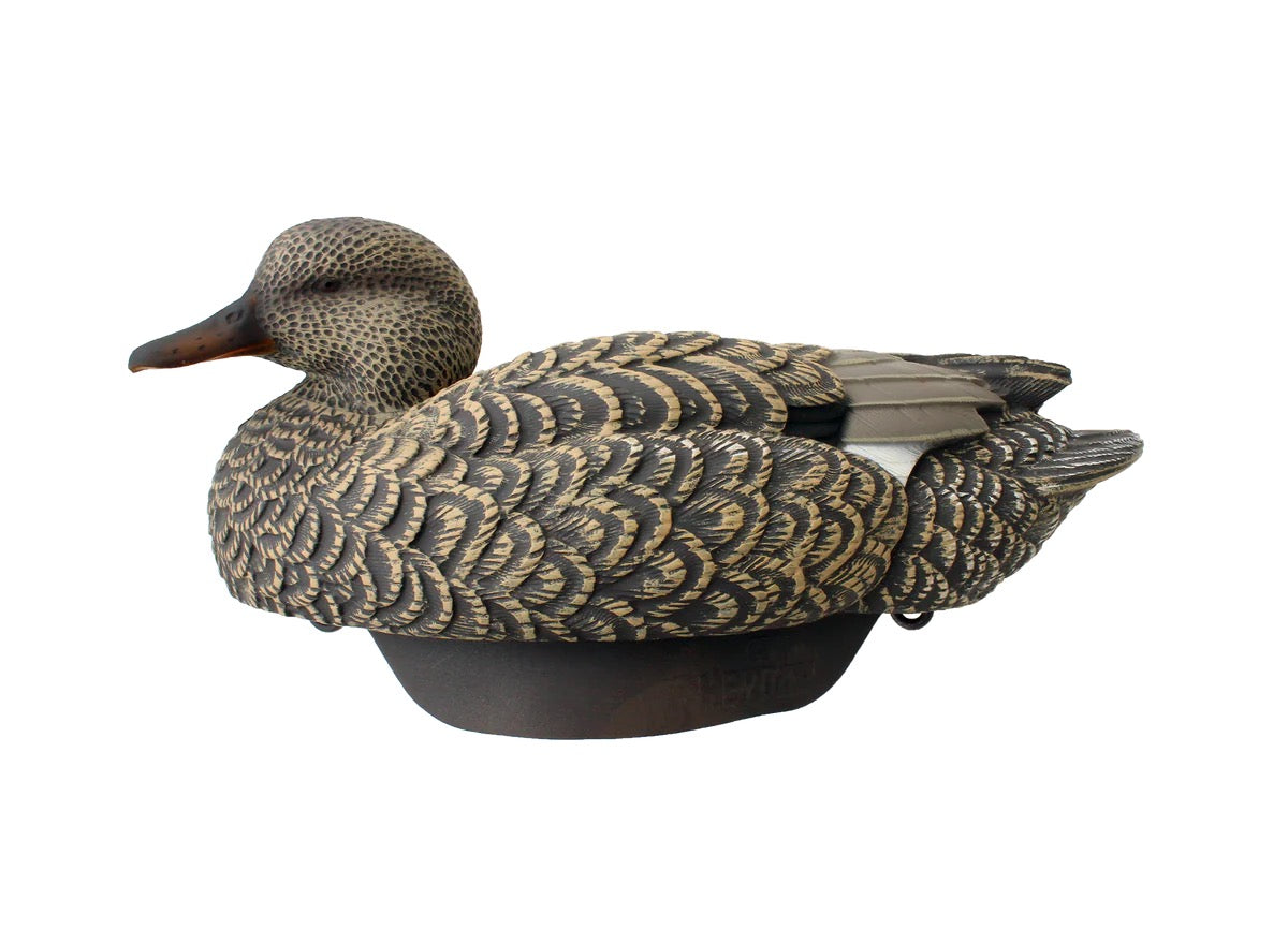 HEYDAY HydroFoam Gadwall 6 Pack
