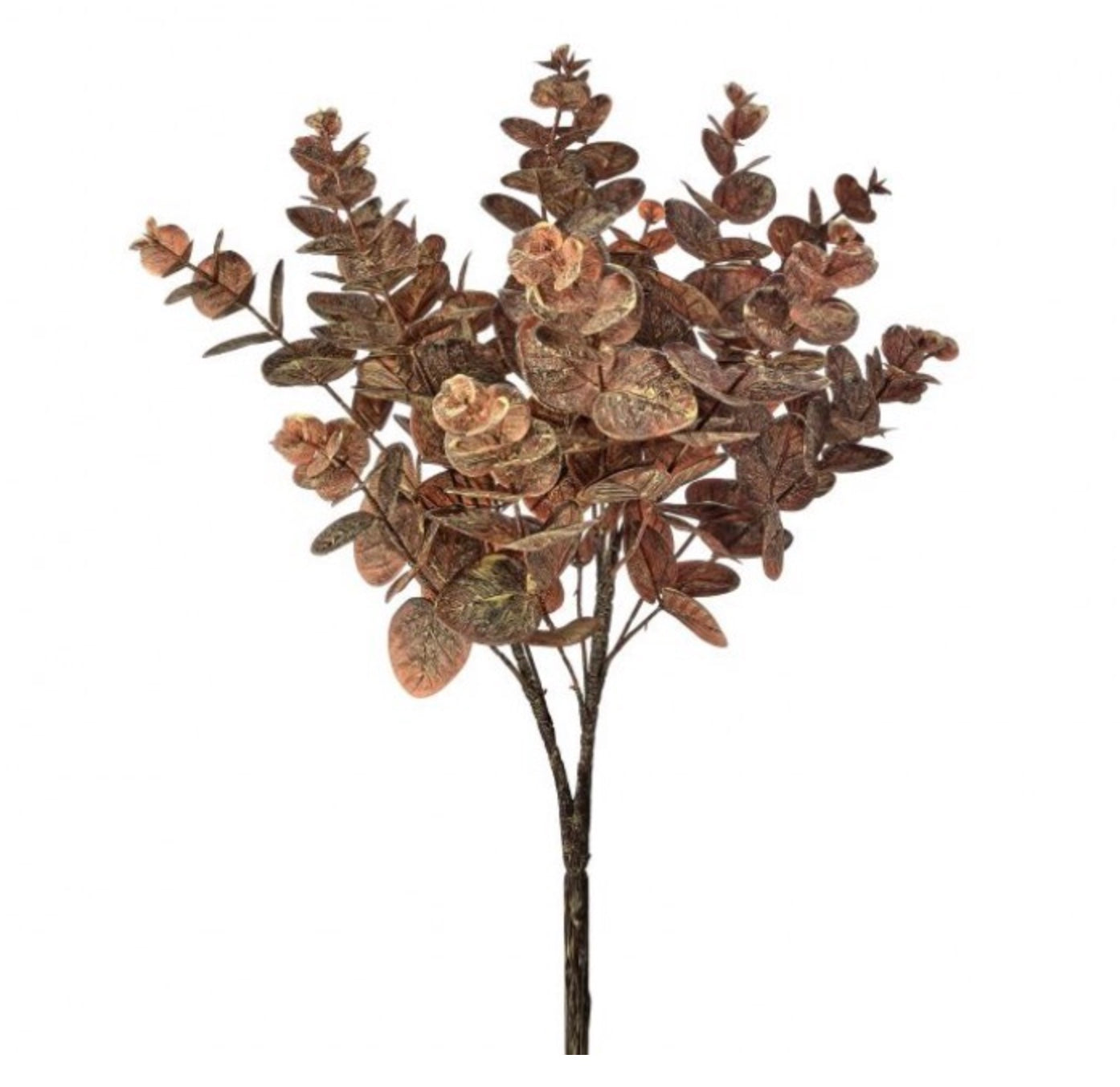20" Autumn Eucalyptus Bush