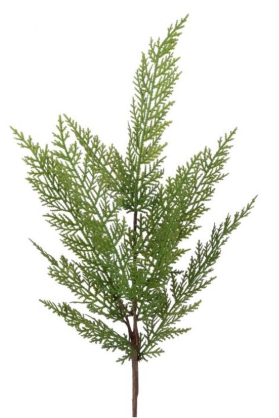 24"Real Touch Lebanon Cedar Spray