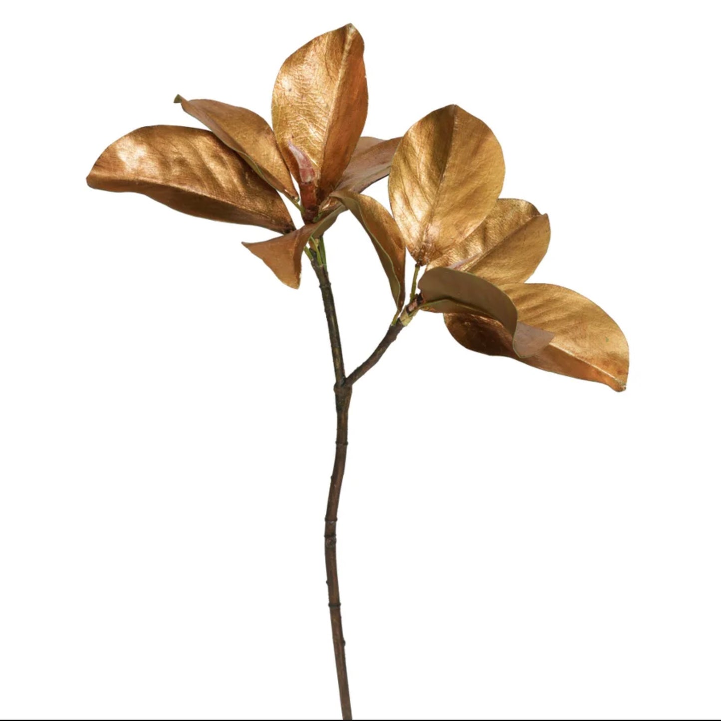 25" Magnolia Leaf Pick