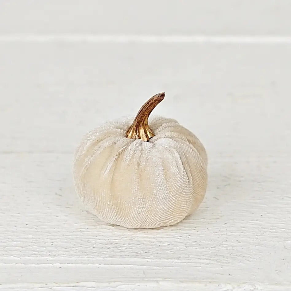 Bag of 6 Velvet 2in. Pumpkins W.Golden Stem-Brown