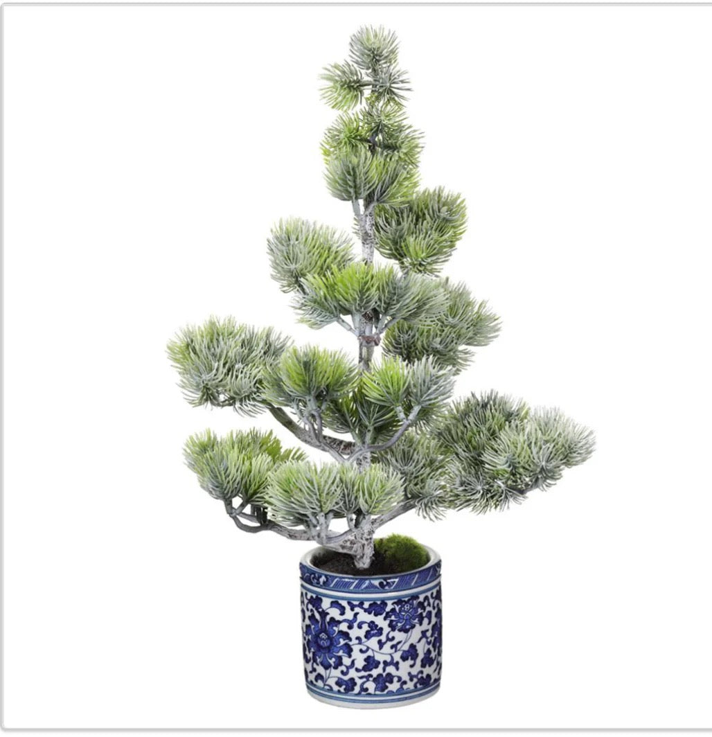 Noble Fir Tree in Ceramic Vase- 2 Sizes