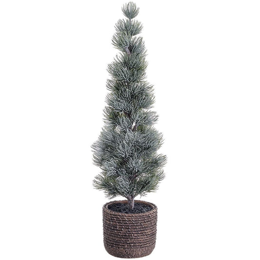 Snowed Spruce Tree in Cement Pot- 2 Sizes