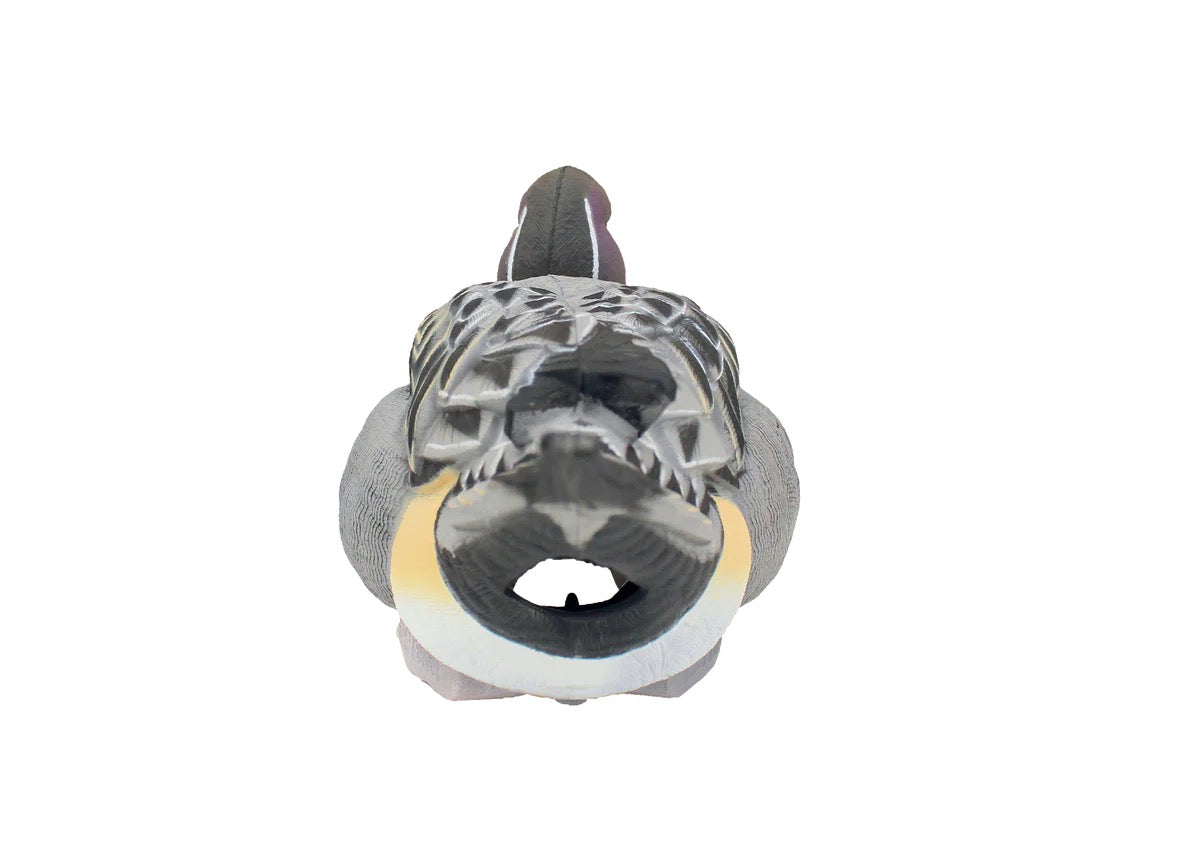 HEYDAY HydroFoam Pintails 6 Pack