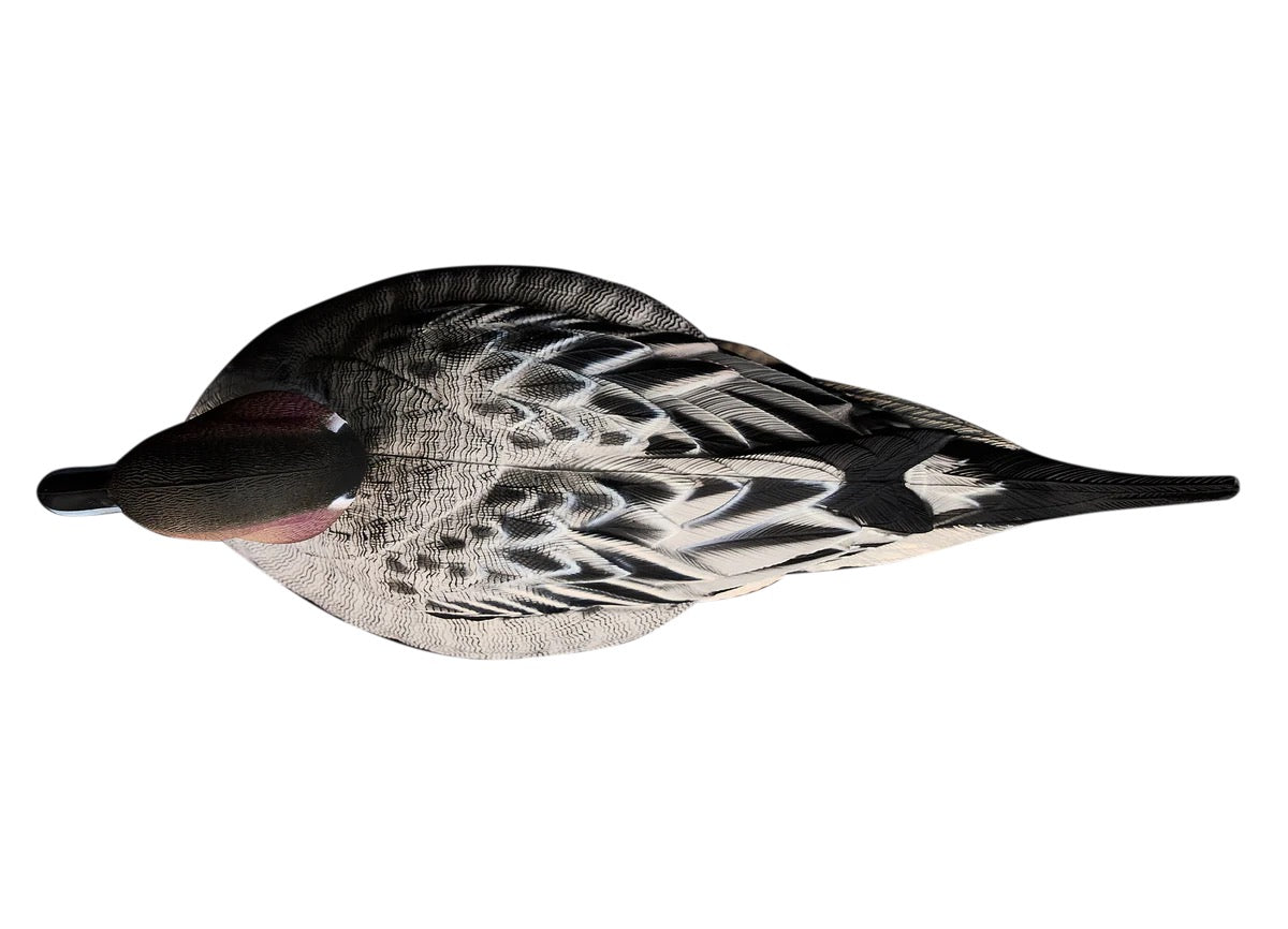 HEYDAY HydroFoam Pintails 6 Pack