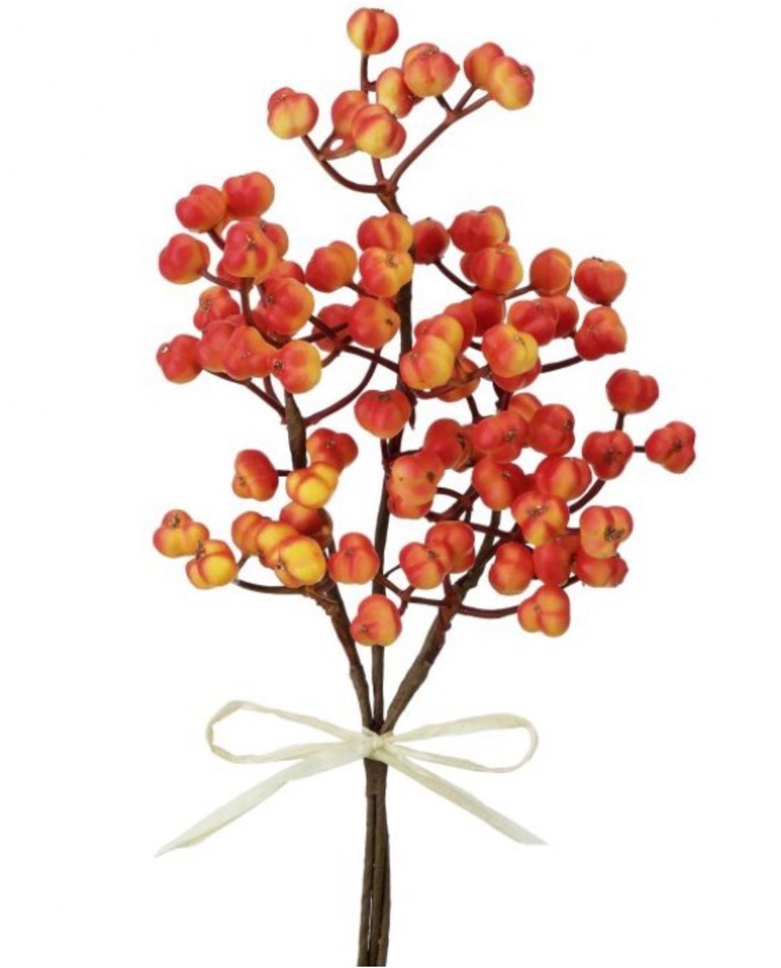 12" Tallow Berry Bundle