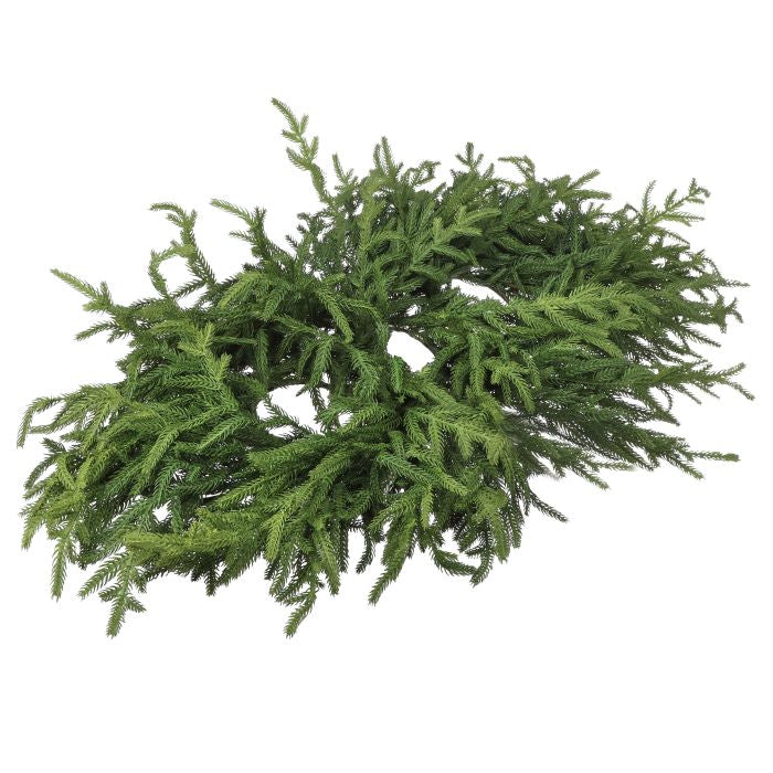 36" Justcut Norfolk Pine Centerpiece