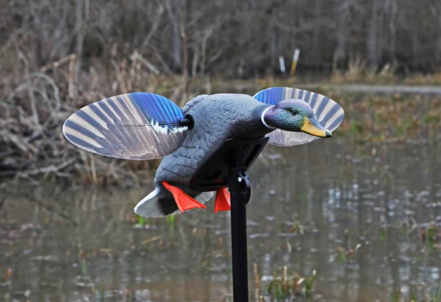 MOJO Mallard® Elite Series™ – Mini Mallard Drake (Factory Installed Remote)