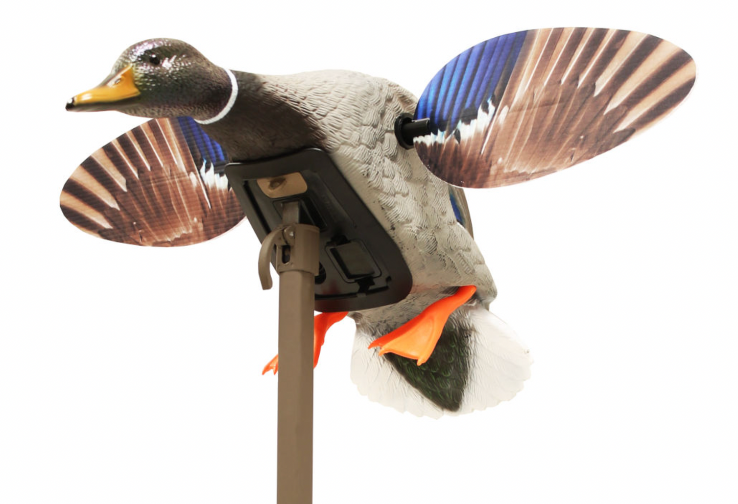 MOJO Mallard® Elite Series™ – Mini Mallard Drake (Factory Installed Remote)