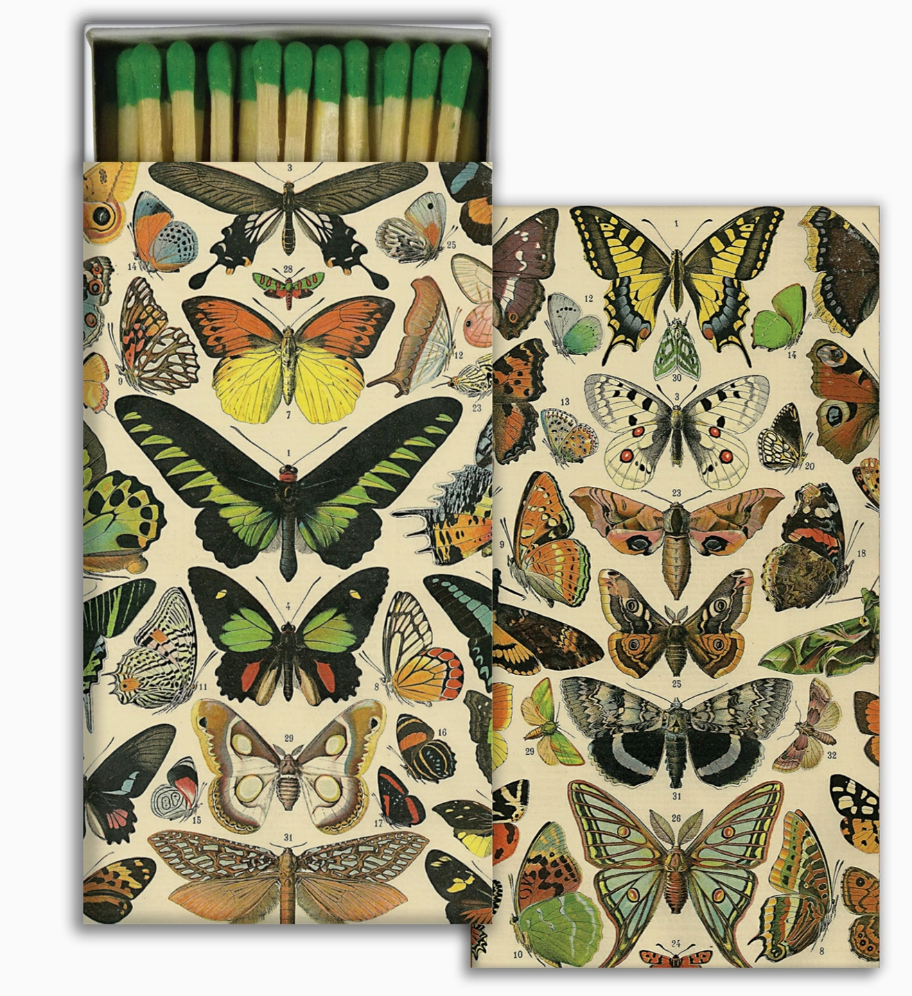 Butterfly Match Box