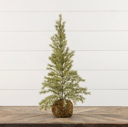 25.75" Pine Tree w/ Moss Ball Base