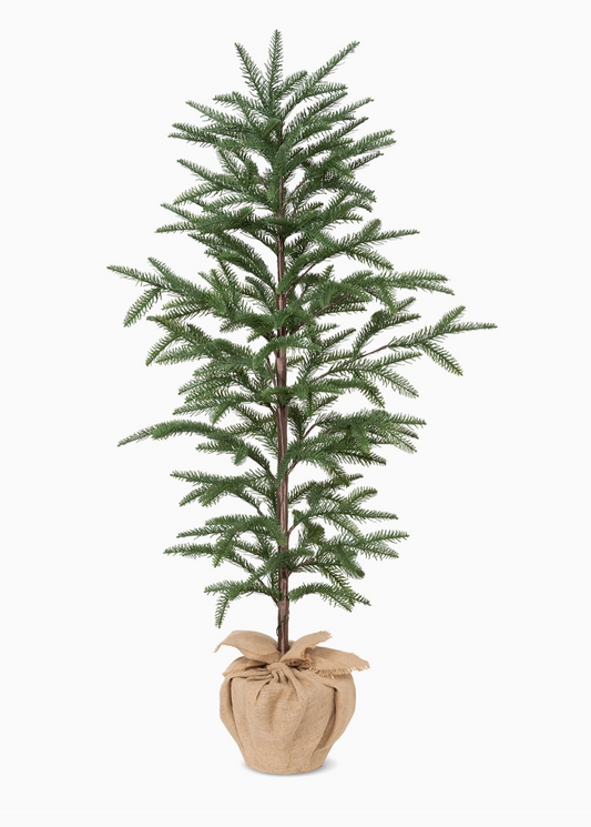 60" Noble Fir Tree
