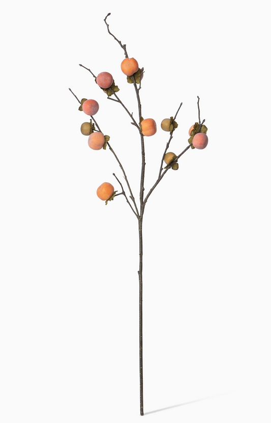 Persimmon Branch