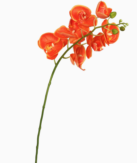 35" Orange Phalaenopsis Orchid