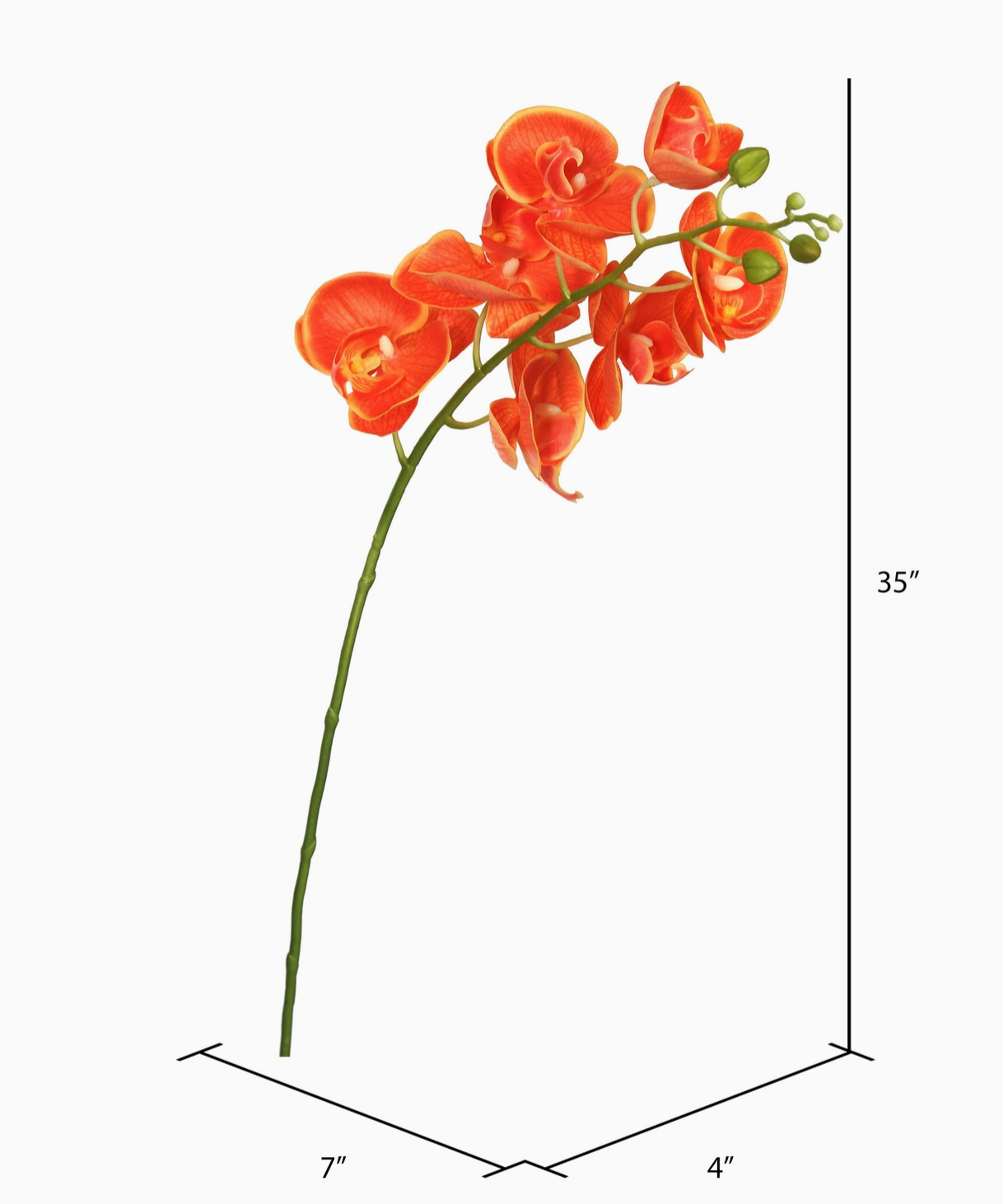 35" Orange Phalaenopsis Orchid