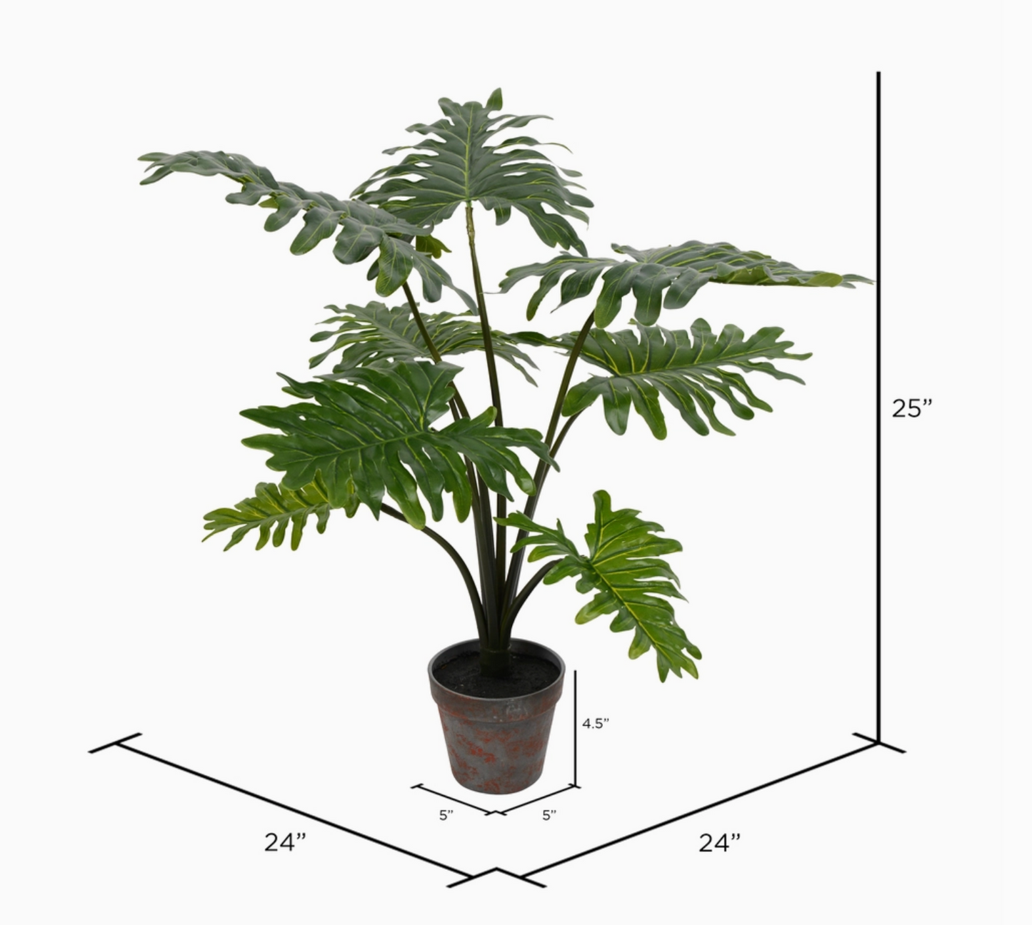 25" Potted Grand Philo Bush
