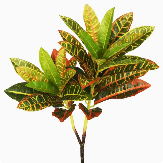 23" Real Touch Croton Spray