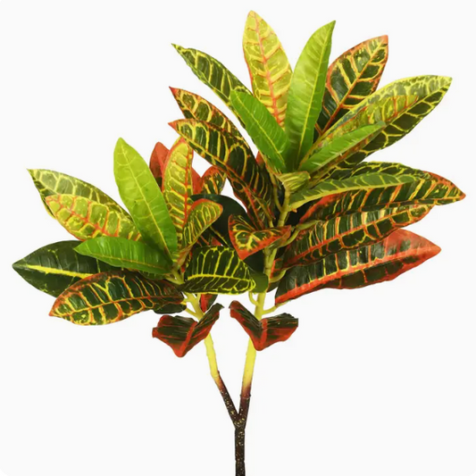 23" Real Touch Croton Spray