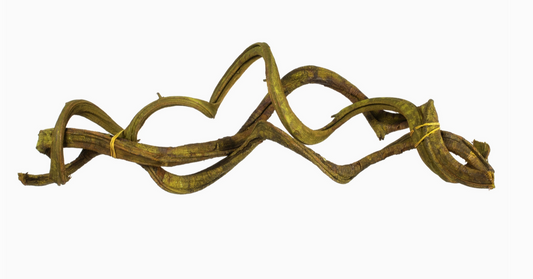 22" Basil Twisted Vine Bundle