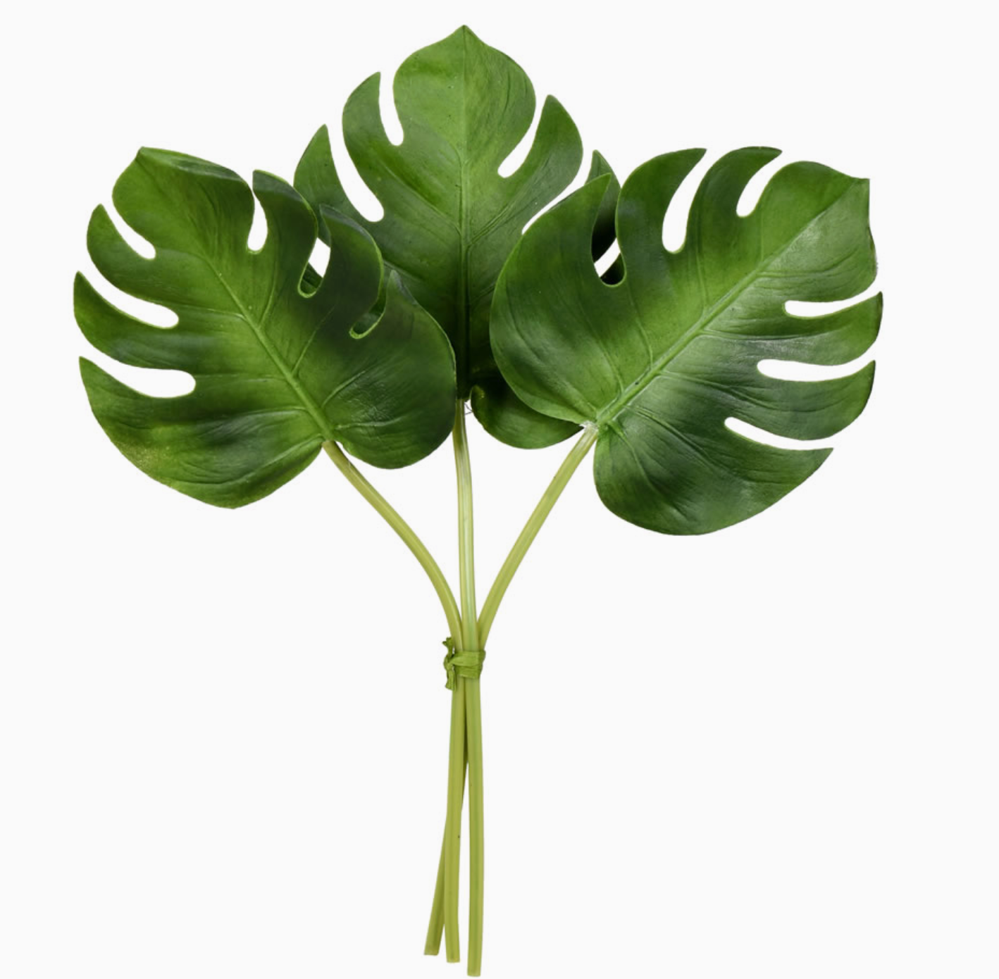 13" Split Philo Leaf