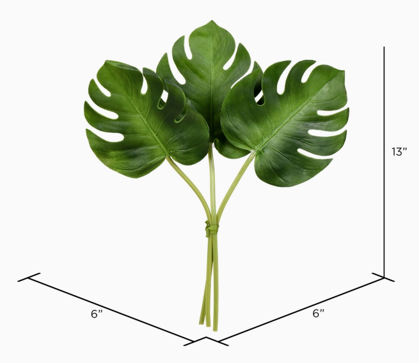 13" Split Philo Leaf