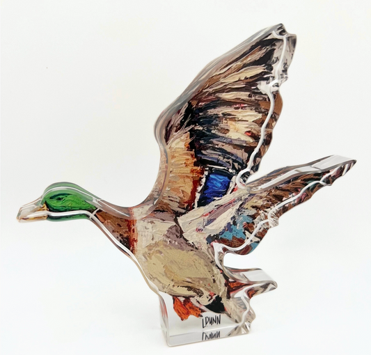 Acrylic Duck