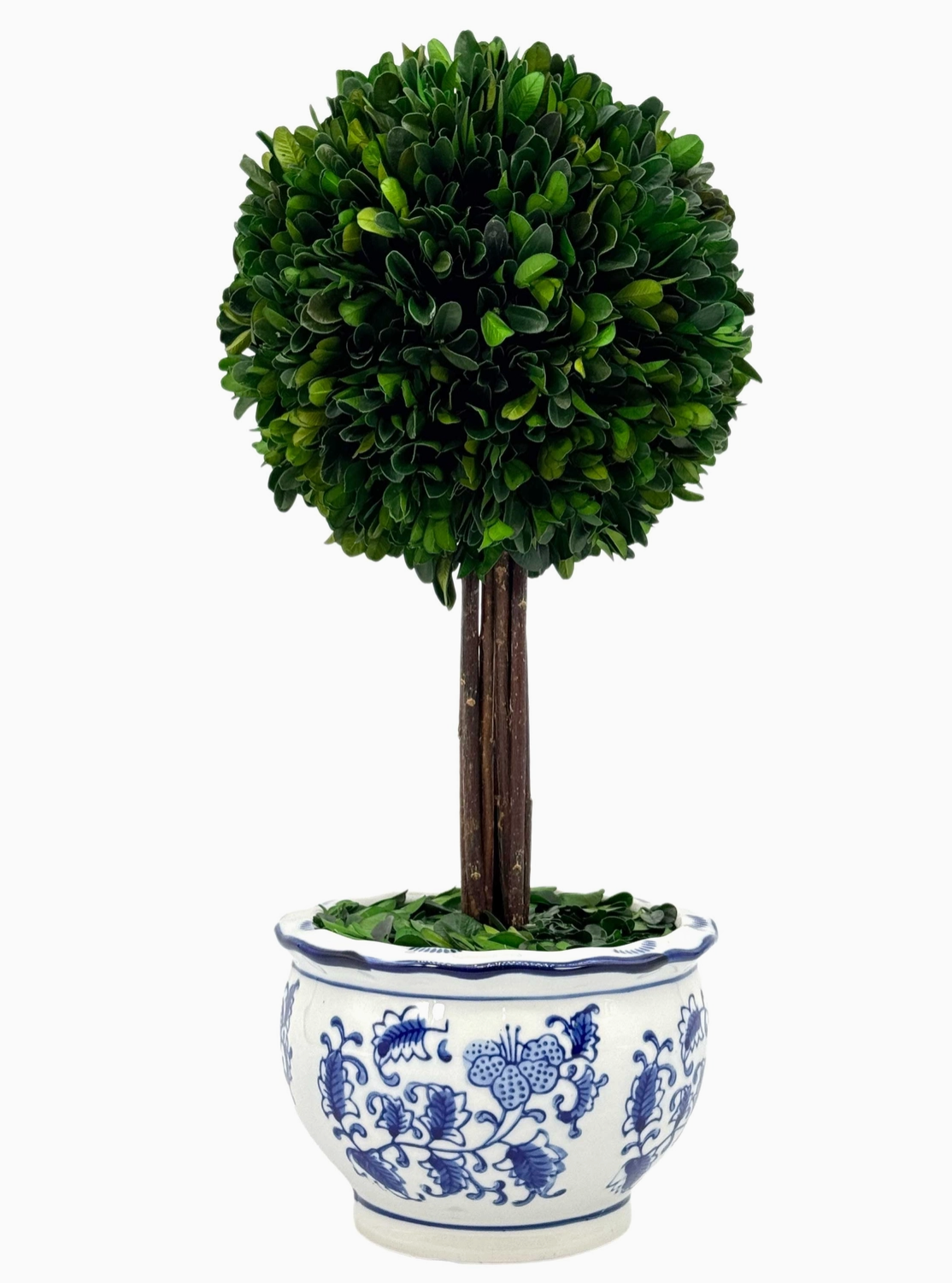 Blue & White Ceramic Boxwood Ball Topiary
