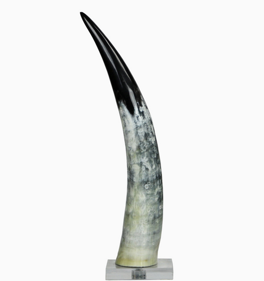 Black & White Cow Horn On Base - 2 Sizes