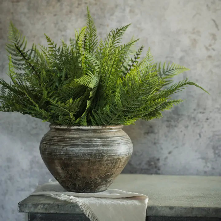 RH 16" Mixed Fern Bush