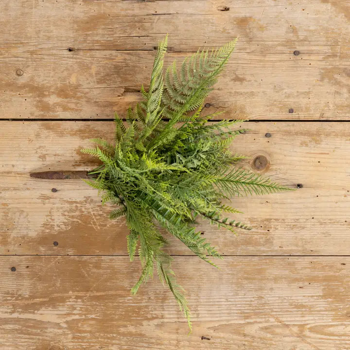 RH 16" Mixed Fern Bush