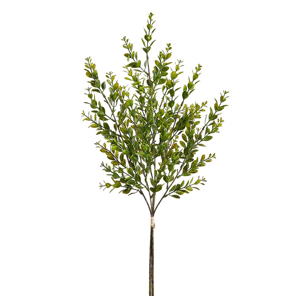 27" Mixed Green Boxwood Bush Stem