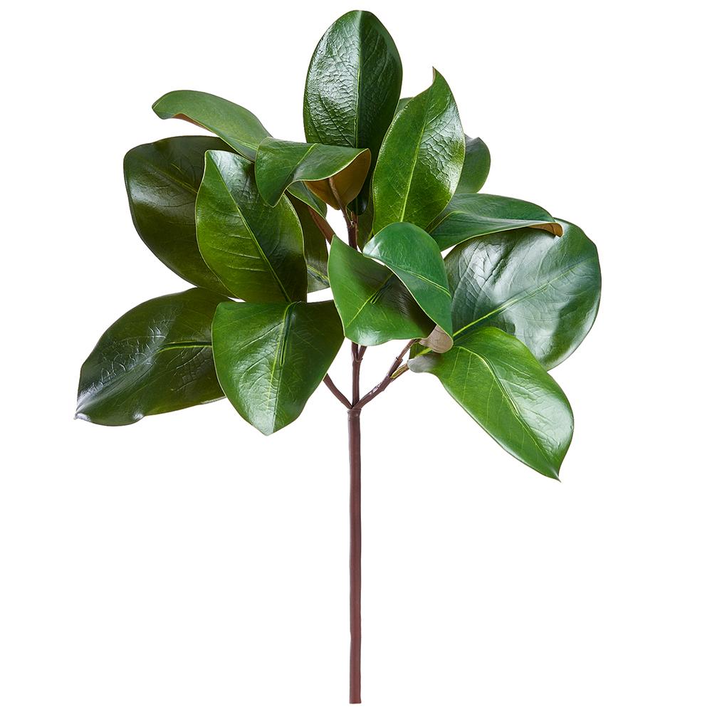 16" Green Magnolia Leaf Pick