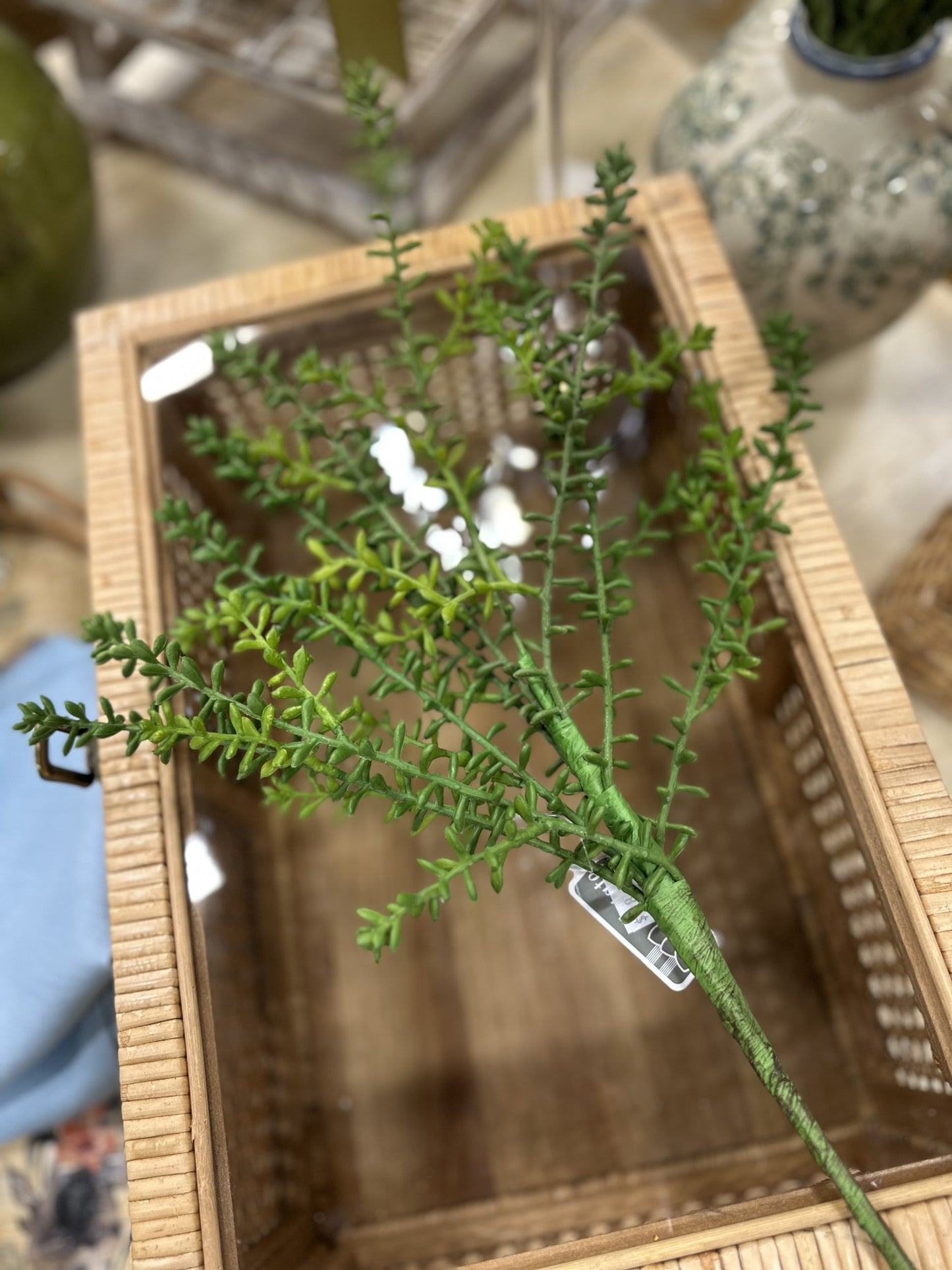 19" Sedum Spray-Green