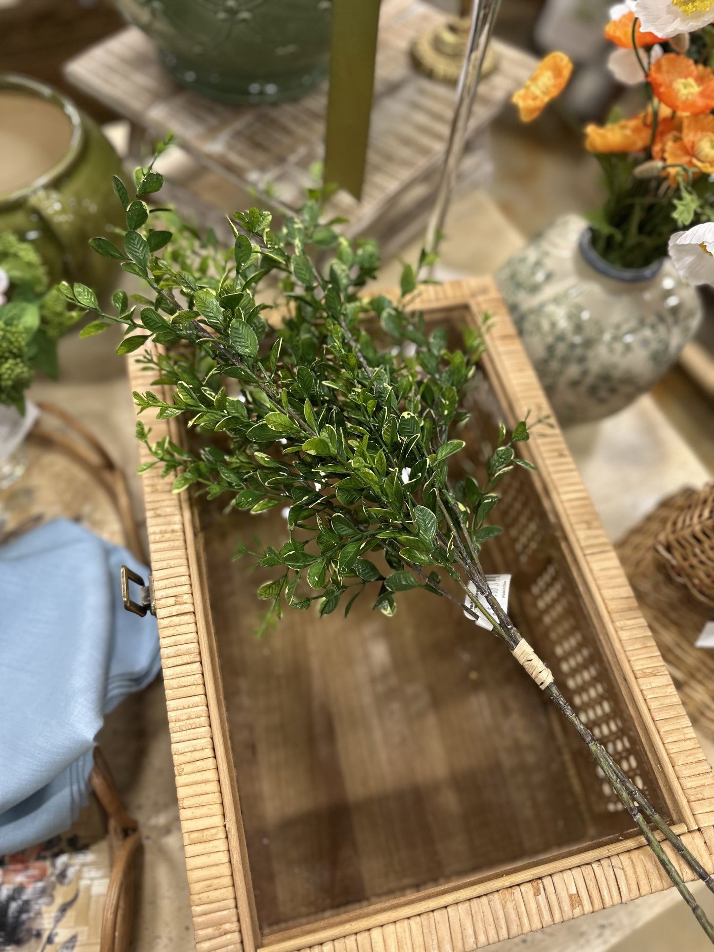 27" Mixed Green Boxwood Bush Stem