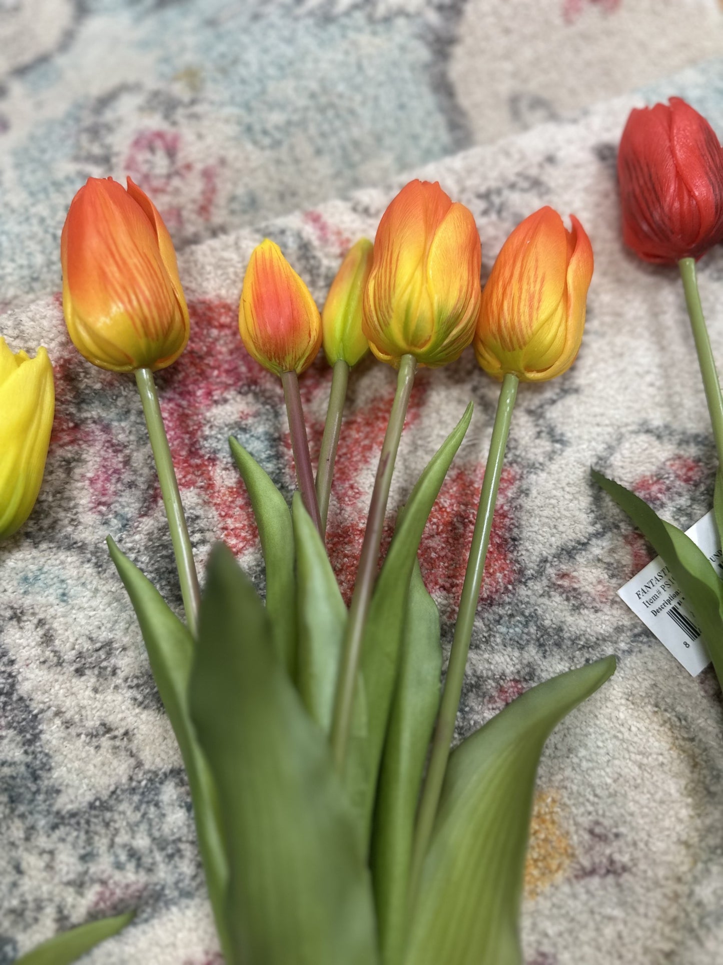 FC 16" Tulip Stem Bundle x 5 (4 Colors)