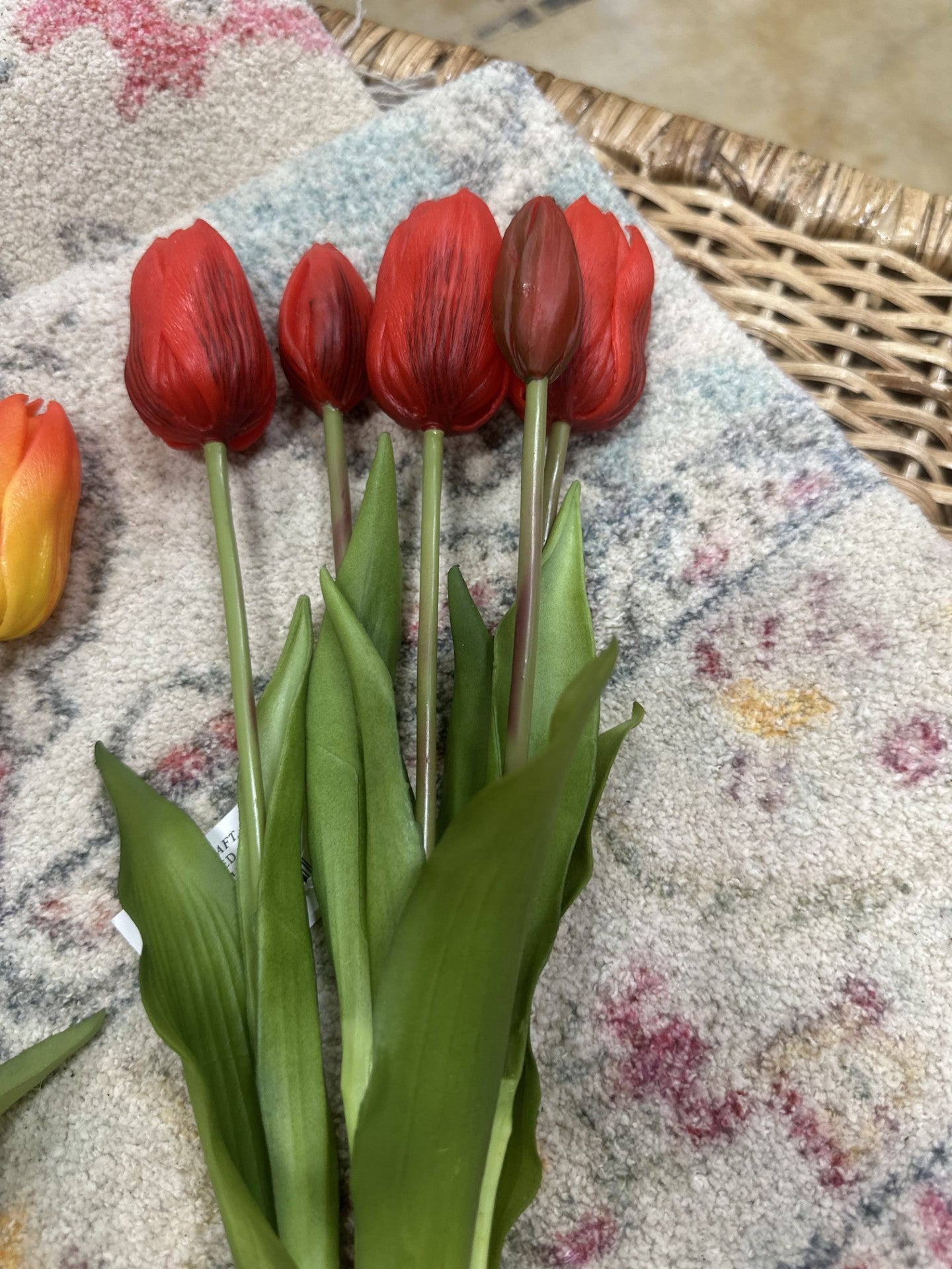 FC 16" Tulip Stem Bundle x 5 (4 Colors)
