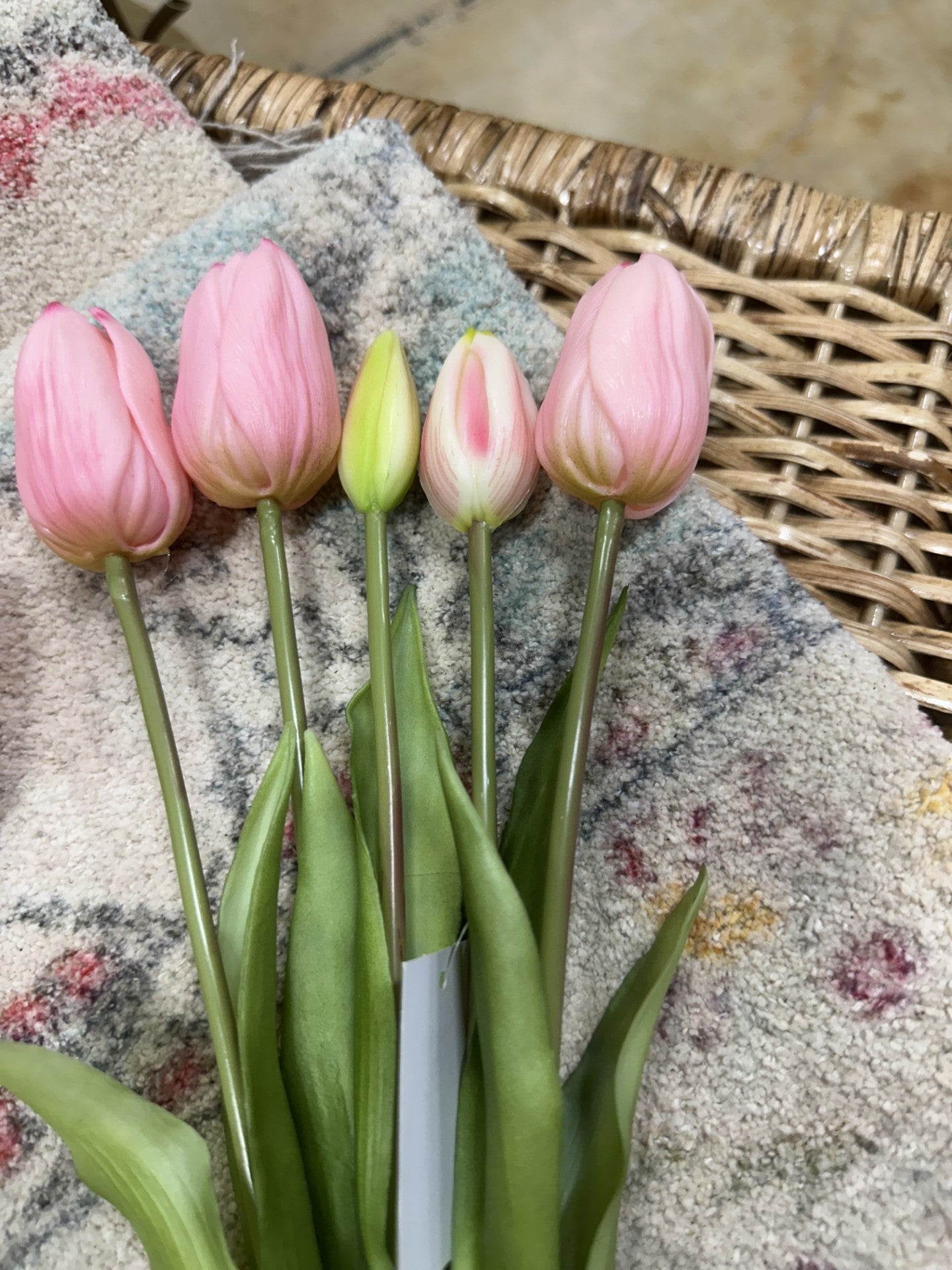 FC 16" Tulip Stem Bundle x 5 (4 Colors)