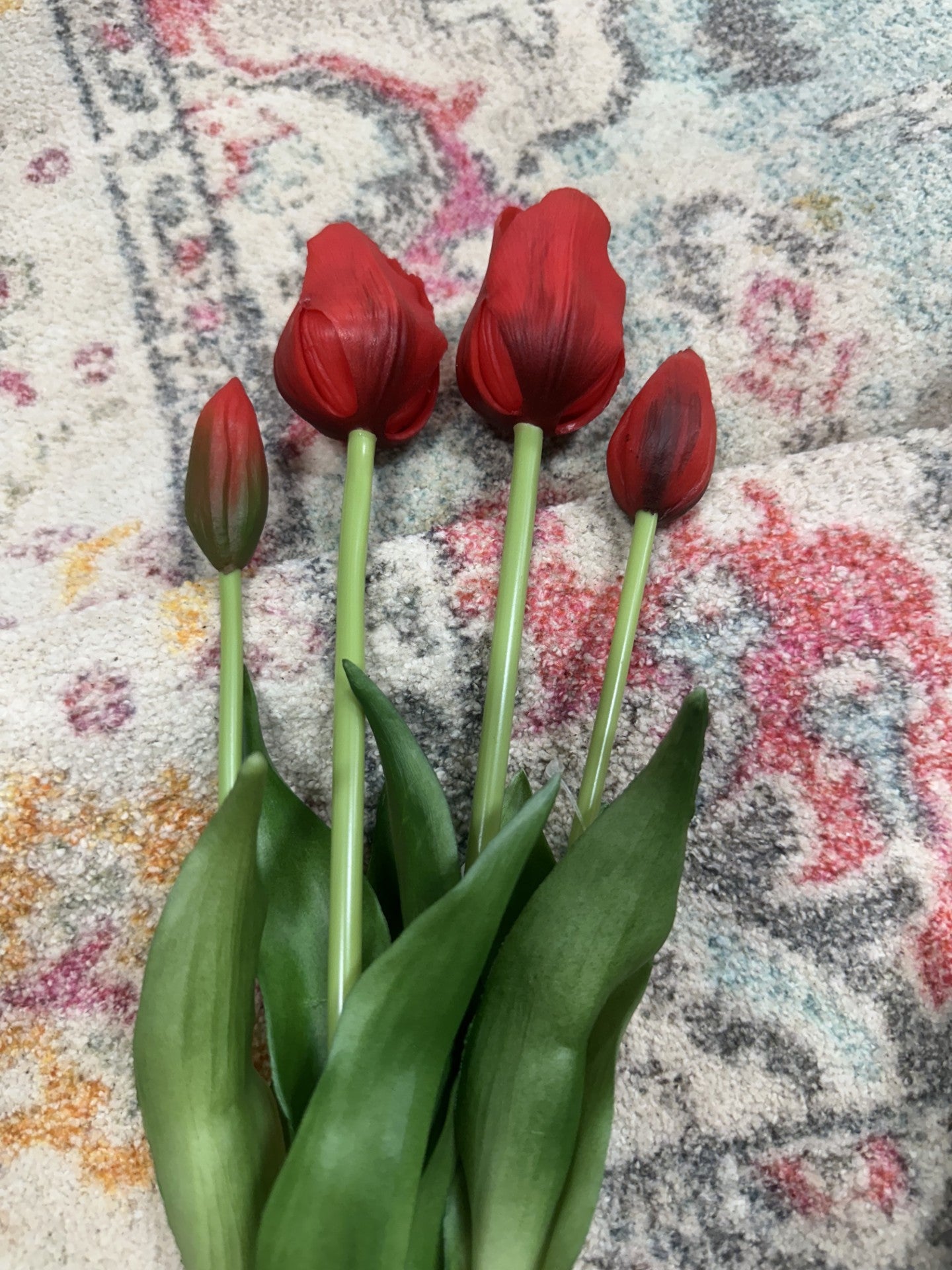 FC 19" Tulip Bundle x 5 (2 Colors)