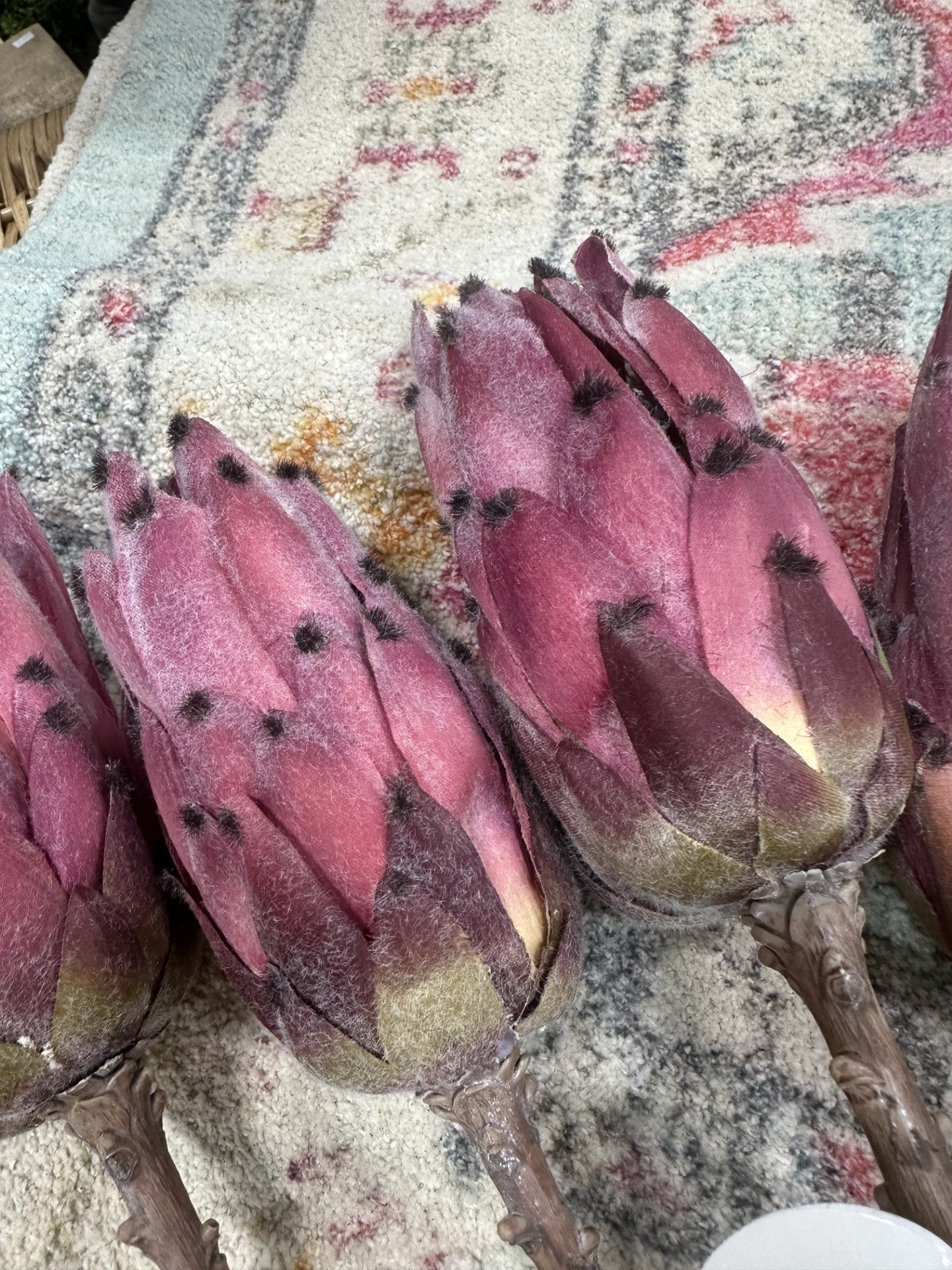 20" Dark Pink Young Protea Stem
