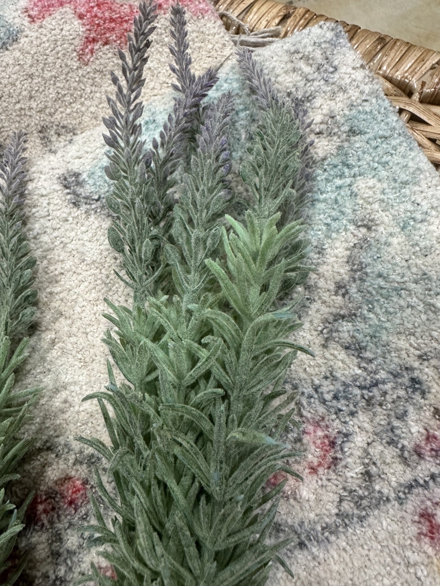 10" Lavender Stem Bundle