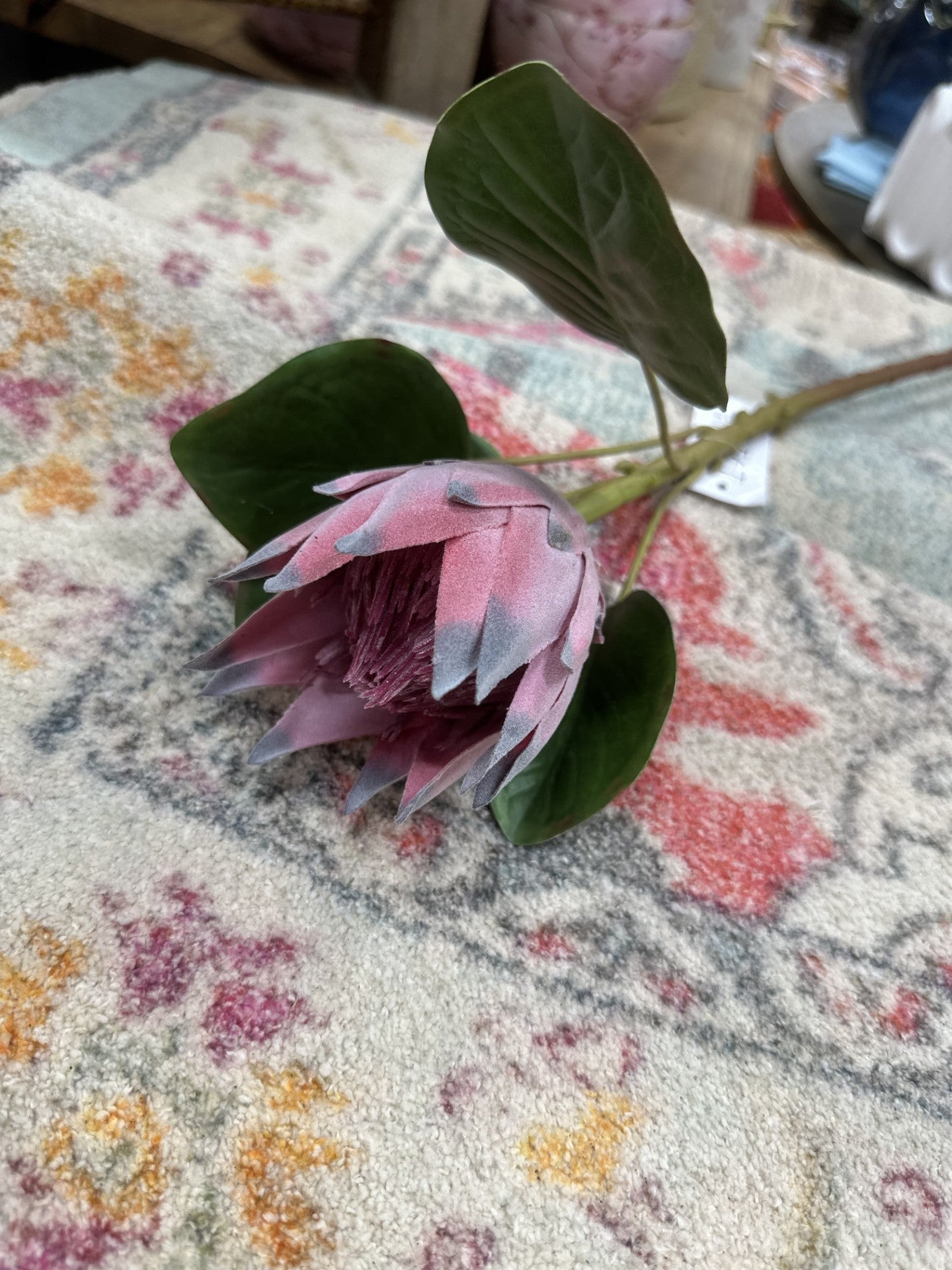 SA 20" Protea Single Stem