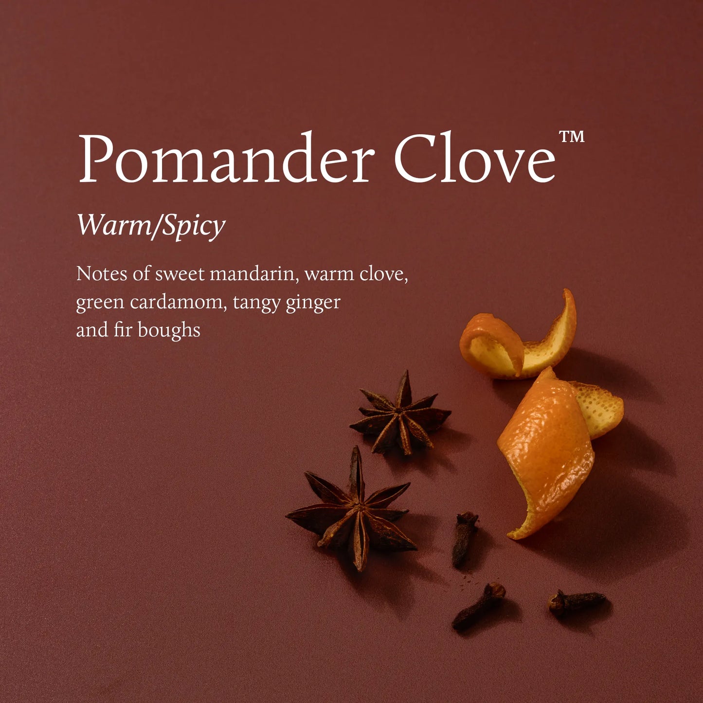 Pomander Clove 3-Wick 18oz. Candle